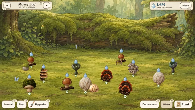 Misting mushrooms on the Mossy Log with the spray bottle